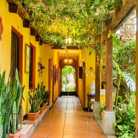 Hotel Casa Antigua By Ahs-3